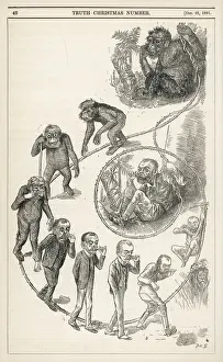 Victorian Print: Ape to Mankind Ascent