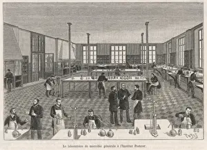 Louis Pasteur Prints: Louis Pasteur in the Microbiology Laboratory Print