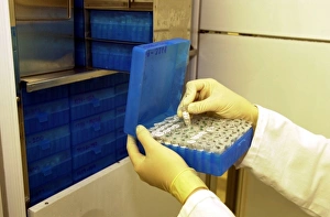 Scientist working with tissue collection Scientist working with tissue collection