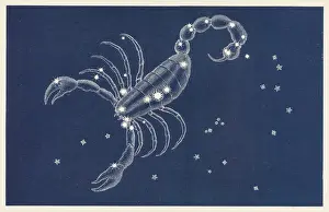 Star Chart Prints: Scorpio Constellation Print