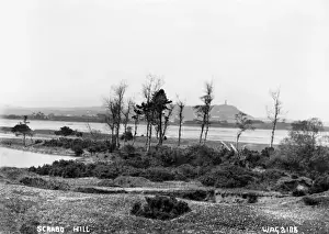 Scrabo Hill Print - Early 1900s View of Comber, County Down