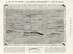 A sea-monster photographed by a man of science A sea-monster photographed by a man of science