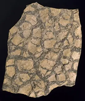 Rock Surface Texture Prints: Sedimentary layer of rock