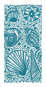 Marine Life Prints: A selection of seashells