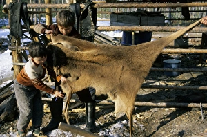 Selkup children, North Siberia (Northern minority) Selkup children, North Siberia (Northern minority)