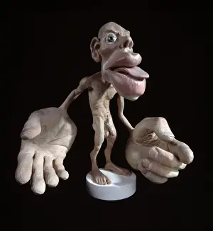 Sensory Homunculus Print: Brain-Body Proportion Model