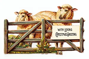 Two sheep behind a gate on a cutout Christmas card Two sheep behind a gate on a cutout Christmas card