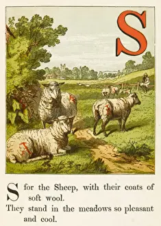 Soft-Woolled Sheep in a Landscape Print