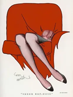 Seductive Woman Prints: Sheer Rep-Hose