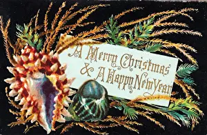 Late 19th Century Christmas Card Prints: Shells and pine branches on a Christmas card