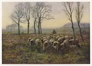 Shepherd With Flock Prints: Shepherd and Flock 1913