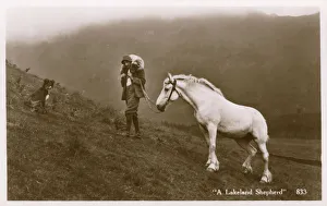 A shepherd of the Lakes with dog and leading his horse A shepherd of the Lakes with dog and leading his horse