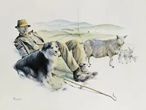 Malcolm Greensmith Paintings Prints: Shepherd at rest