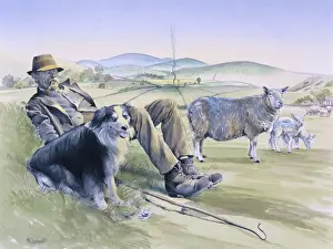 Rural Landscape Photography Prints: A shepherd resting