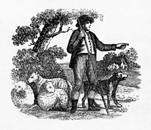 Rustic Countryside Scenes Prints: Shepherd & his sheep