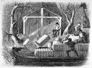 Shooting cotton bales into a river-steamer Shooting cotton bales into a river-steamer