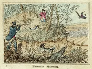 Shooting Pheasant Print - Two men and their dogs in a woodland clearing