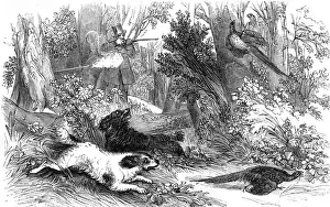 Shooting Pheasant Print circa 1840