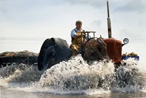 Shrimp fisherman, Flookborough, Morecambe Bay -1 Shrimp fisherman, Flookborough, Morecambe Bay -1