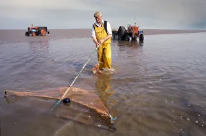 Shrimp fisherman, Flookborough, Morecambe Bay - 6 Shrimp fisherman, Flookborough, Morecambe Bay - 6