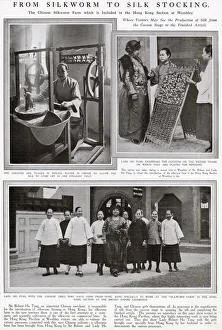 From silkworm to silk stocking - British Empire Exhibition From silkworm to silk stocking - British Empire Exhibition