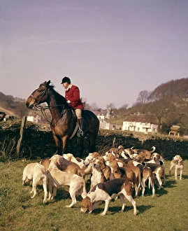 Silverton Foxhounds and huntsman, Devon Silverton Foxhounds and huntsman, Devon