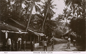 Sinhalese village, Ceylon (Sri Lanka) Sinhalese village, Ceylon (Sri Lanka)
