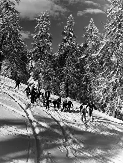 Skiing In The Mountains Prints: Skiing Lesson