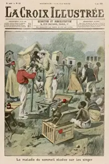 Sleeping Sickness Trypanosomiasis Print