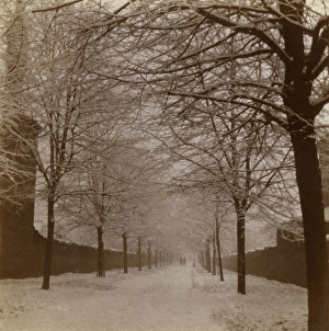 Snow scene in Longfield Avenue, Ealing, West London Snow scene in Longfield Avenue, Ealing, West London