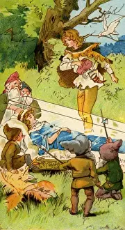 Prints of Snow White and the Seven Dwarfs. Artist: Anon. A fairy tale by the Brothers Grimm. The dwarfs place her in a glass coffin Brothers Grimm Prints: Snow White in Glass Coffin Print, 1902