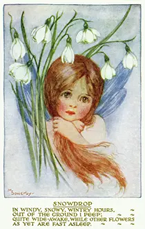 Antique Postcard Collection Prints: Snowdrop