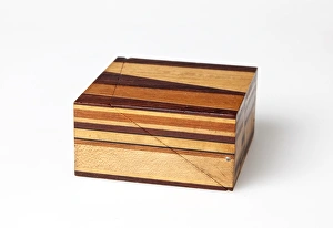 Sopwith Model XI: Vertical intersecting veins Sopwith Model XI: Vertical intersecting veins