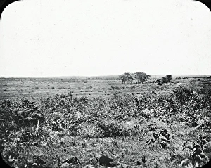South Africa - Site of Lobengulas Kraal, etc South Africa - Site of Lobengulas Kraal, etc