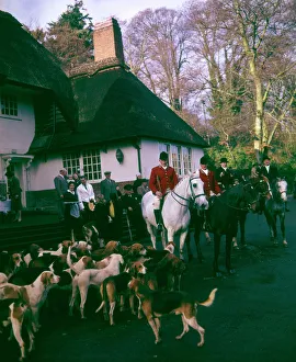South Devon Foxhounds, Cockington, near Torquay South Devon Foxhounds, Cockington, near Torquay