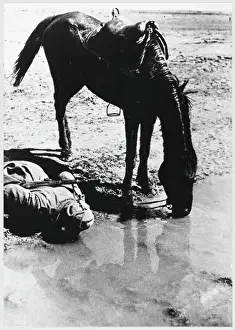 Eastern Front History Prints: Soviet Cavalryman