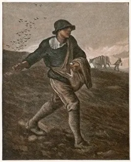 Impressionist Masterpieces Online Prints: The Sower (Millet)