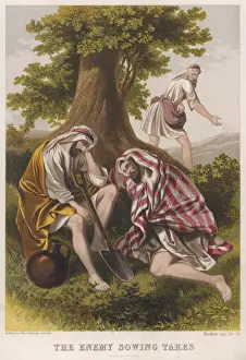 Bible Parables Prints: The Sower of Tares