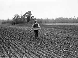 Farming In Britain Prints: Sowing by Hand