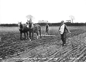 Sowing and Harrowing in the Corn, Co Antrim Sowing and Harrowing in the Corn, Co Antrim