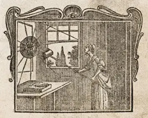 18th Century Prints: The Spider & Silkworm