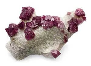 Vietnamese Spinel Crystals Print: Exposed Specimen