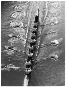 Rowing Eight Oar Print: A Study of a Rowing Team