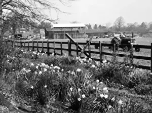 Farming Scene Prints: Spring Farming Scene