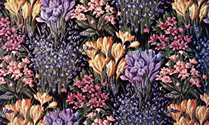 Colourful Spring Blooms Prints: Spring flowers