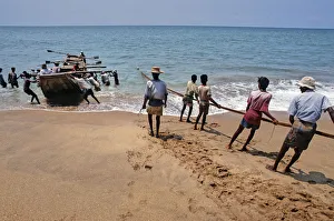 Sri Lankan beach fishermen hauling nets - 2 Sri Lankan beach fishermen hauling nets - 2