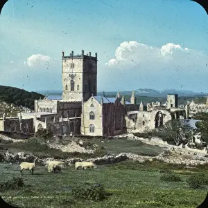 St Davids Cathedral Colour Lantern Slide Print, circa 1890s