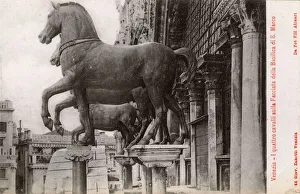 St. Marks Square, Venice, Italy - The Horses of St. Mark St. Marks Square, Venice, Italy - The Horses of St. Mark