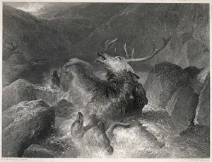 John Singer Sargent Painting Prints: The Stag at Bay