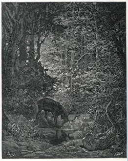 Stag and his Reflection Print: A Study of Pride and Utility